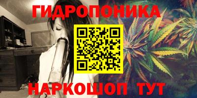 прущий лед Обь