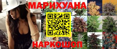 сатива Обнинск