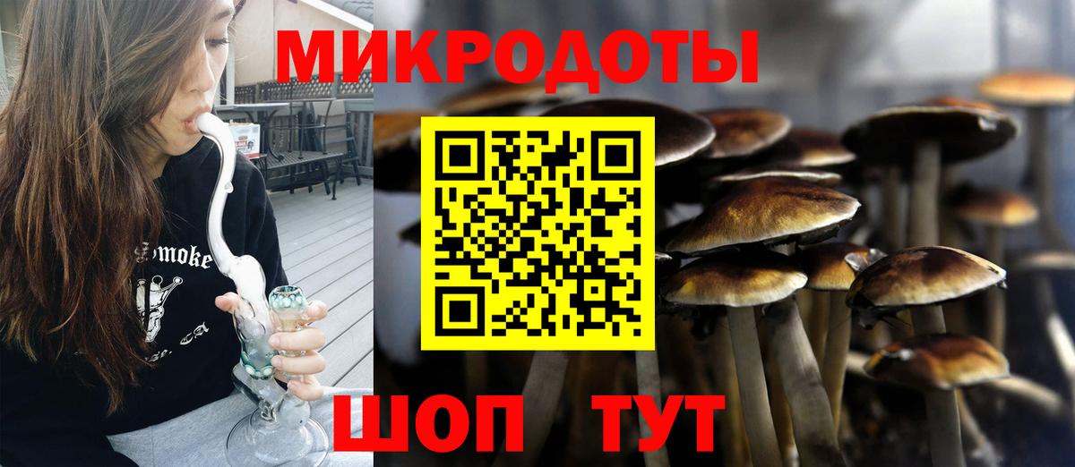 Галлюциногенные грибы Psilocybe  Псилоцибиновые грибы MAGIC MUSHROOMS  Тихорецк  Вход с VPN 